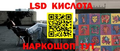 индика Заволжье
