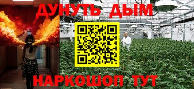 индика Заволжье
