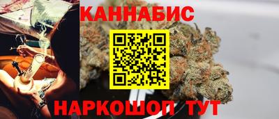 индика Заволжье