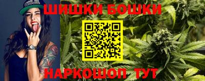 индика Заволжье
