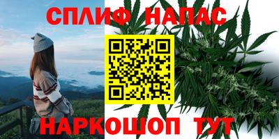 тгк Заводоуковск
