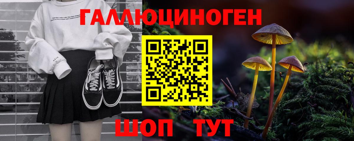 Псилоцибиновые грибы GOLDEN TEACHER  Вход с VPN  Кулебаки 