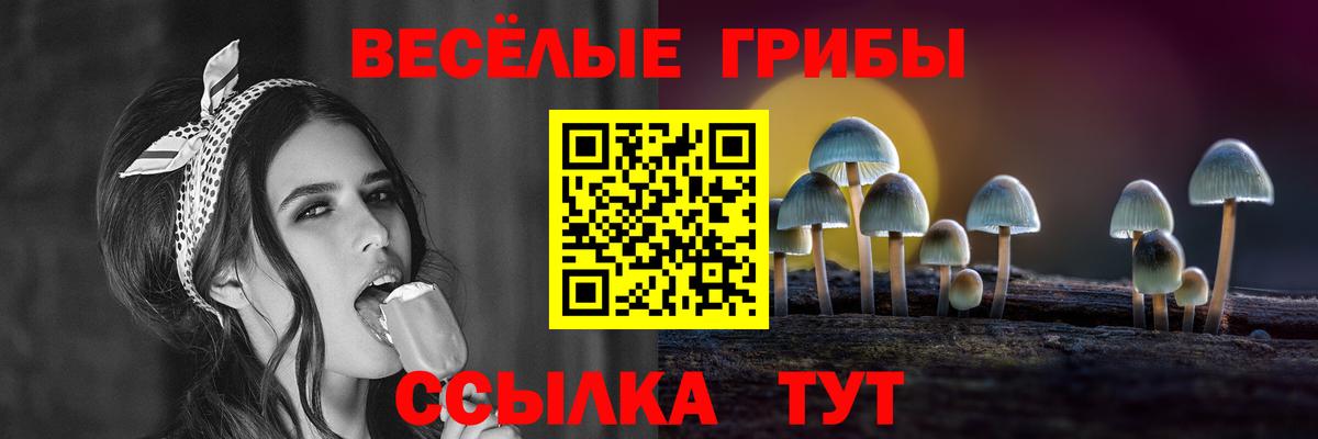Псилоцибиновые грибы мухоморы Кулебаки